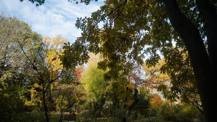 Autumn in the park