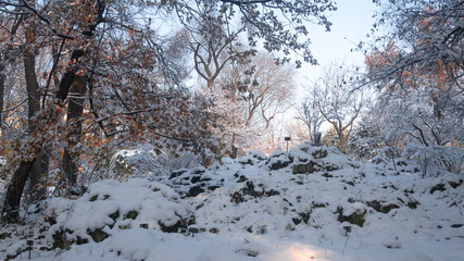 Winter landscape with river and trees