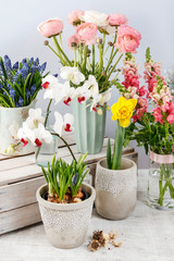 Many kinds of spring flowers. Beautiful home decoration.