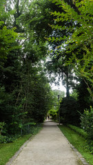 Path in the park