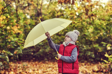 Boy with an umbrella in the autumn forest . Walks in the fresh air