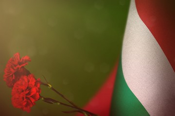 Hungary flag for honour of veterans or memorial day with two red carnation flowers  mockup. Glory to Hungary heroes of war concept on green dark velvet.