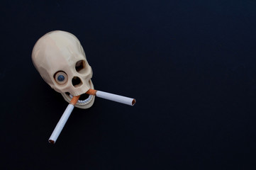 skull with cigarettes on black background