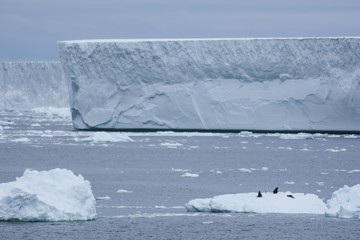 Iceberg tabulaire © Stéphane