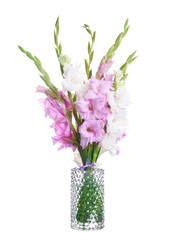 Naklejka na ściany i meble Vase with beautiful gladiolus flowers on white background