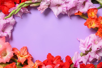 Flat lay composition with beautiful gladiolus flowers on violet background. Space for text