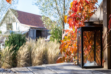 eine alte Lampe, Holunder und im Hintergrund ein Bauernhaus
