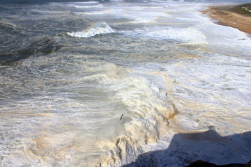 Big Wave in Nazare, Portugal