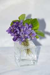 still life, flowers, glass, square, vase, lilac, violets, green, leaves, small, bouquet, white, background
