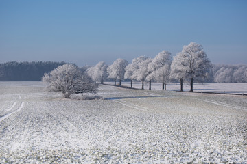 Obraz premium Idyllic Winter Landscape In Rural North East Germany