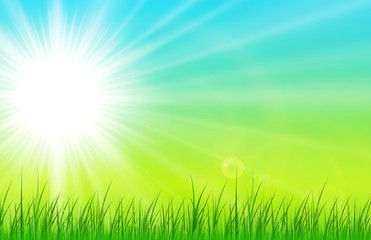 Fototapeta na wymiar Sunny natural background, summer sunny green vector illustration.