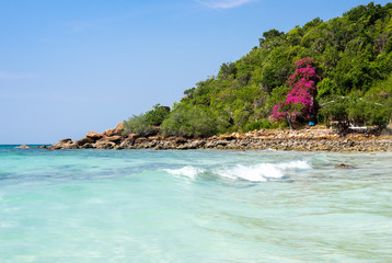 Fototapeta premium Ko Lan island