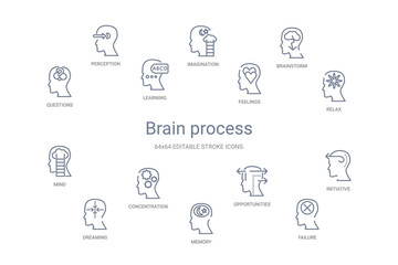 brain process concept 14 outline icons
