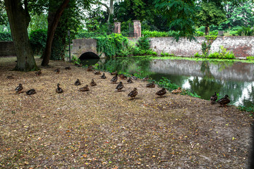 Schloss Weier