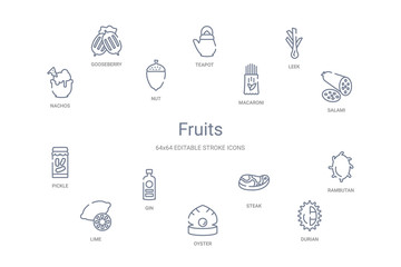 fruits concept 14 outline icons
