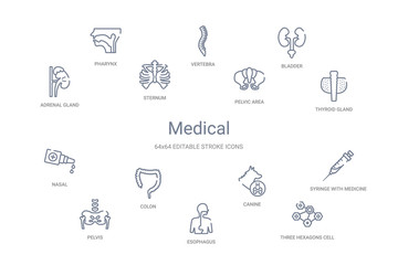 medical concept 14 outline icons