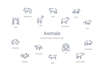 animals concept 14 outline icons