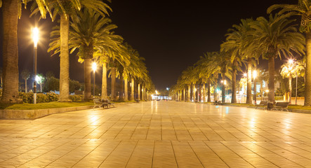 Fototapeta na wymiar Street of Spanish city at night with palms and lights