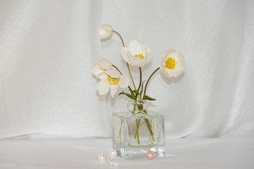 small, bouquet, white, flowers, anemones, glass, square, vase, round, beads, white, background, flora, still life
