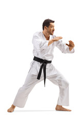 Man in kimono practicing karate © Ljupco Smokovski