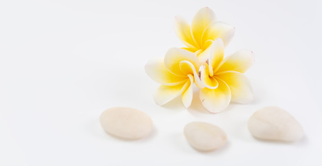 Obraz na płótnie Canvas Beautiful yellow Plumeria flower and white zen stone with space for text,spa concept