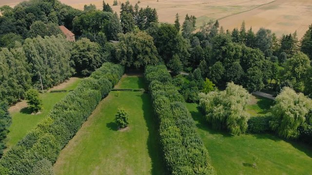 Aerial shot in green Park, warmia and masuria natural place with green grass nad tall trees, nice clouds on the sky