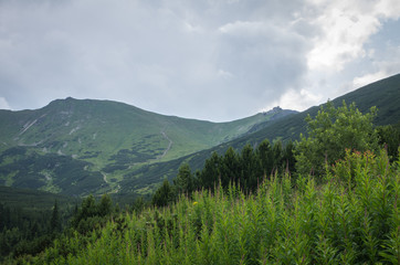 Fototapeta premium Beautiful landscape of Gasienicowa Valley in June. Tatra Mountains. Poland.