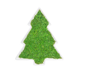 Christmas tree concept, spruce needles in porcelain plate, isolated