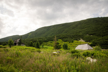 Rural landscape near Tatra Mountains in Poland