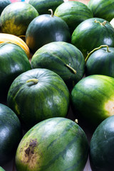 Harvest of ripe watermelons Farmer organic bio