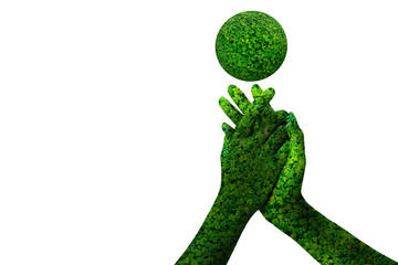 Green hand and green ball isolated on white background. This had clipping path. environment concept.