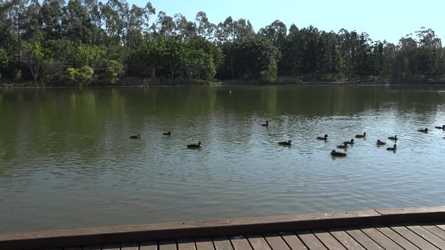 Springfield Lakes in Ipswich City, Queensland, Australia during the day.