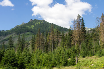 Landscape in Roztoka Valley on the way to Polish Five Lakes Valley.