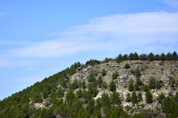 Fototapeta na wymiar Limestone mountainside covered with pine trees. Natural landscape against the blue sky with blurry clouds. Selective focus. Copy space.
