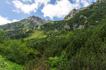 Landscape in Roztoka Valley on the way to Polish Five Lakes Valley.