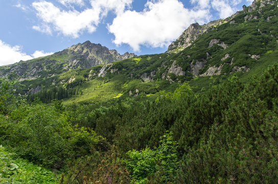 Landscape in Roztoka Valley on the way to Polish Five Lakes Valley. © Jarek