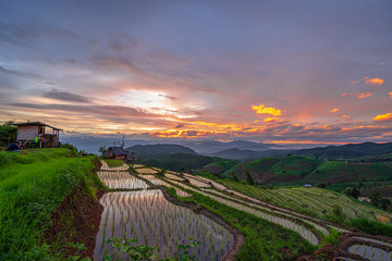 The mountain on the green fields with the sky and cloud background, Chiang Mai rice terraces with the mountain and clouds in the rainy season, rice farming season.