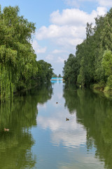 Beautiful water landscape with reflections of lush green trees in calm water with floating ducks and a blue bridge across the river in the distance against a blue sky with clouds. Vertical.