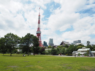 Obraz premium the Tokyo tower in Japan