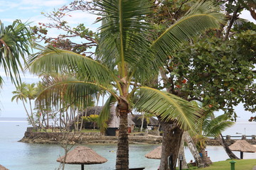 Fiji Tropical Paradise