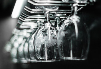 Empty glasses for wine above a bar rack