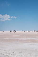 Fototapeta na wymiar Turkey: people in the distance walking on the salt expanse of Lake Tuz, Tuz Golu, the Salt Lake, the second largest lake in Turkey and one of the largest hypersaline lakes in the world