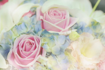 Close up beautiful Pink  rose flower bouquet