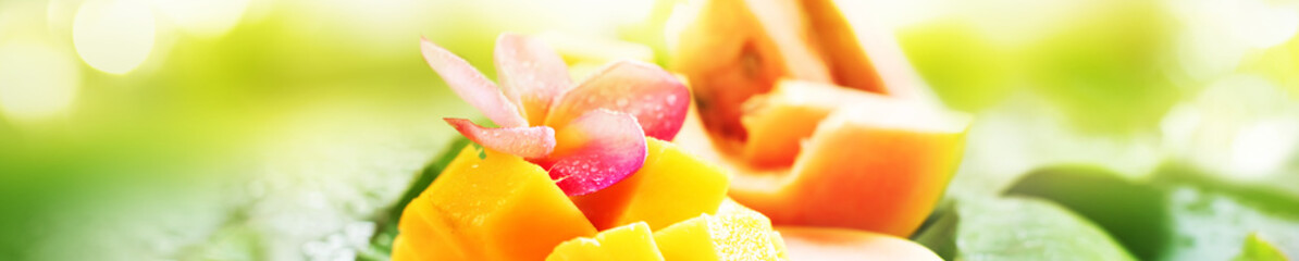 Fototapeta na wymiar Sliced mango water melon papaya fruits wet palm