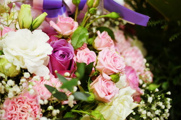 Close up beautiful Pink  rose flower bouquet