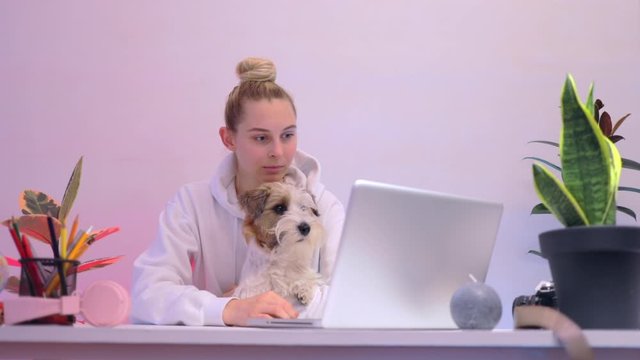 beauty caucasian woman play with jack russell terrier at table watch video on laptop work study chill relax room home loft studio office 5g social shopping think funny