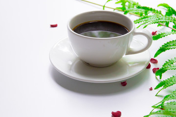 A cup of coffee on a white background And with fern leaves