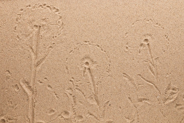 Fototapeta na wymiar Imprint of field flowers on the sand. With space for design, text place.