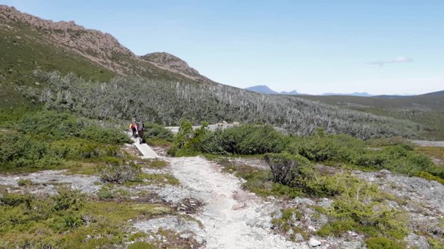 Couple of western tourists trekking on path in Tansmania Oveland Track. Sporty Couple Walking on a trail immerse in bushwalker and mountain. Australian Natural Park.