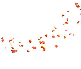 Orange rose petals fly in a circle. The center free space for Your photos or text